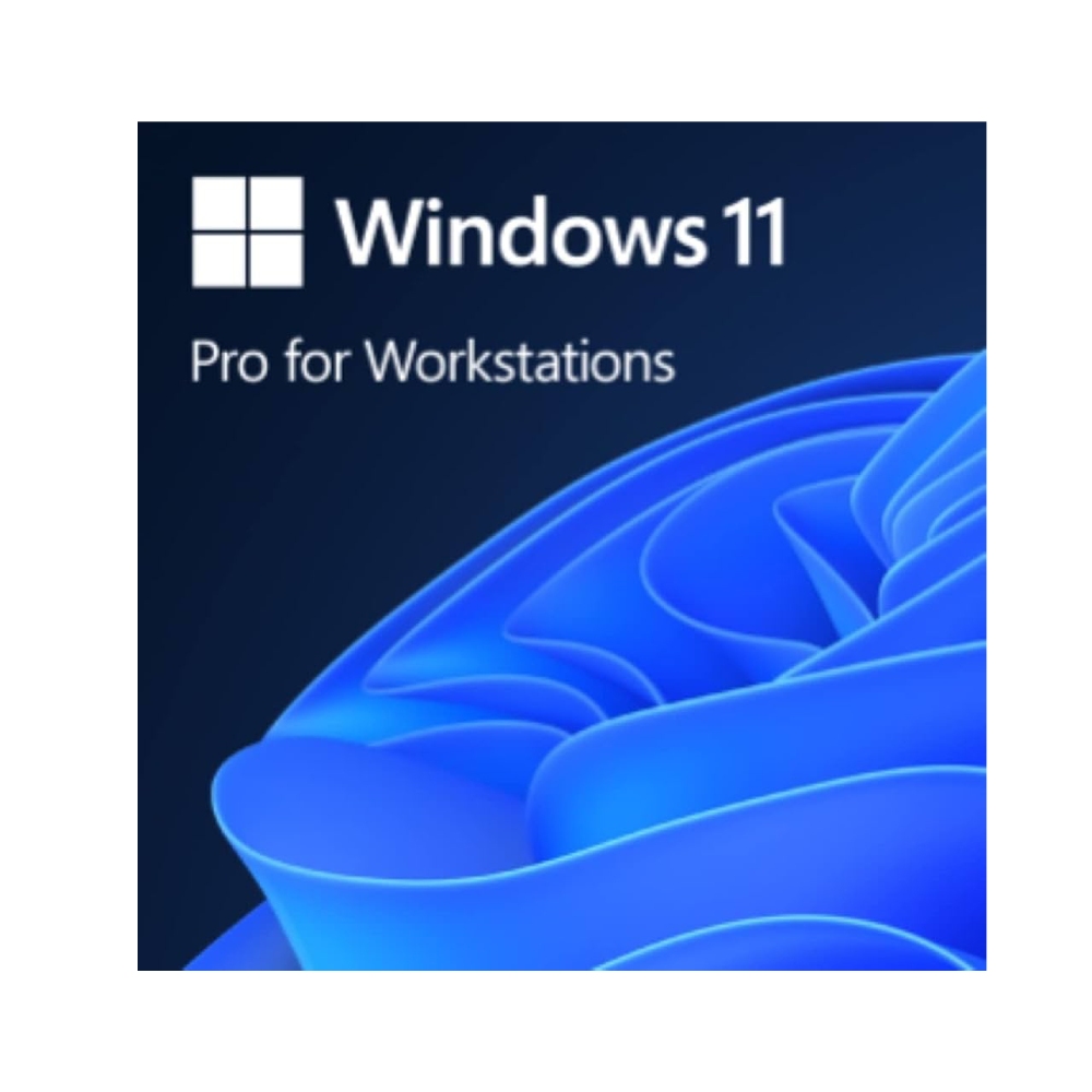 Phần mềm Microsoft Win 11 Pro for Workstation